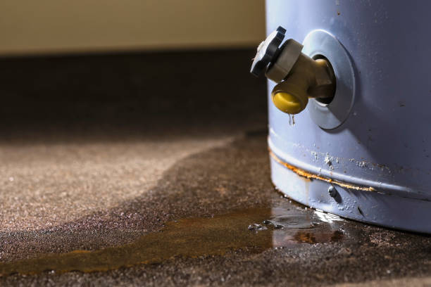 Best Emergency water damage restoration  in Nora Springs, IA