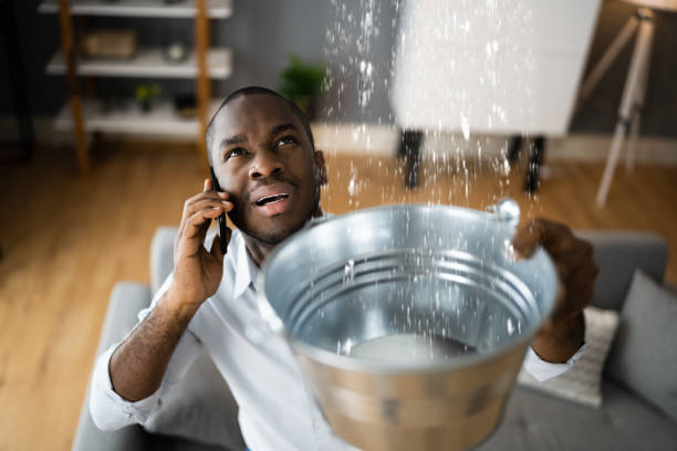 Best Professional water damage repair  in Nora Springs, IA
