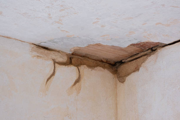 Best Water damage cleanup near me  in Nora Springs, IA