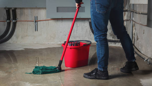 Best Basement water damage restoration  in Nora Springs, IA