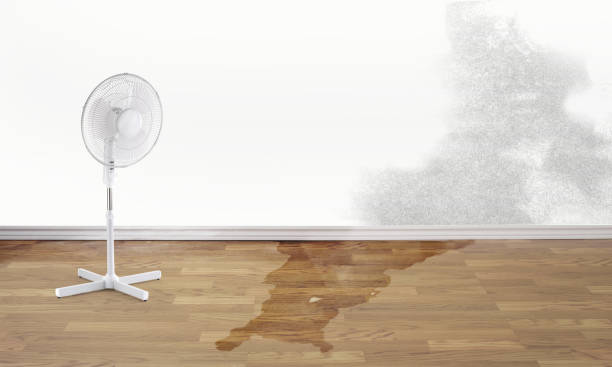 Best Commercial water damage restoration  in Nora Springs, IA