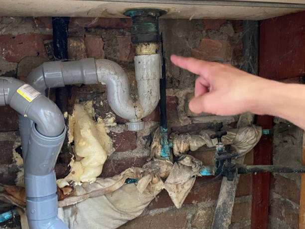 Best Water damage mitigation services  in Nora Springs, IA