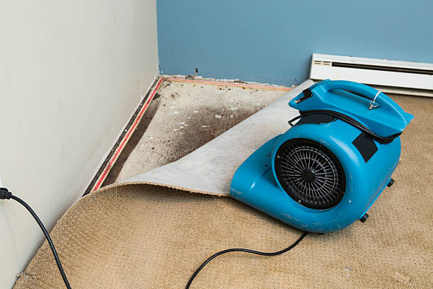 Best Emergency water damage restoration  in Nora Springs, IA