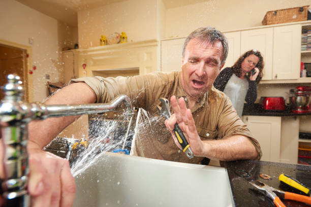 Best Ceiling water damage repair  in Nora Springs, IA